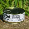 Świeca awaryjna PIRAN – 48h światła, survival, 4 knoty, ~260g